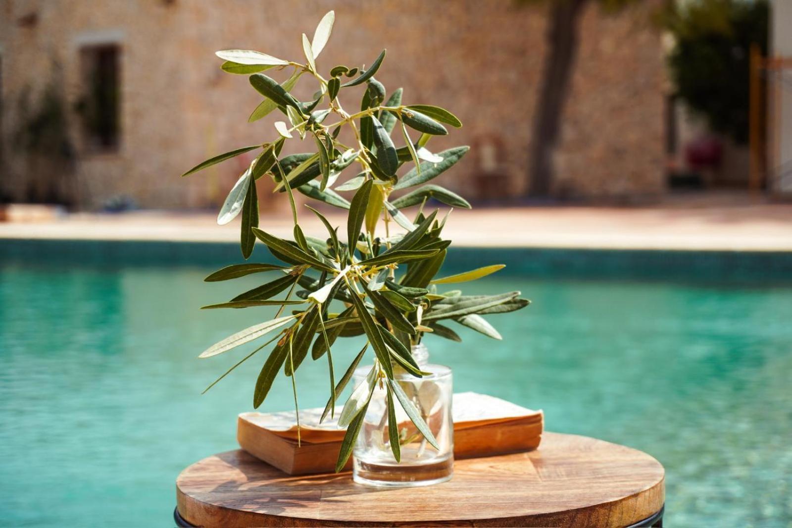 Hotel Finca Olivar 贝尼萨 外观 照片